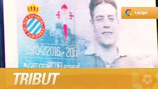 Zn7lhdE4uOk Video Image