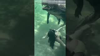 Hot Girl Swimming With A Crocodile
