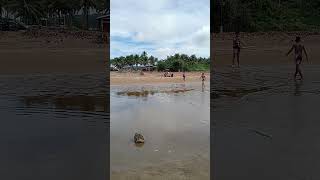 Swimming Before 2024 End..