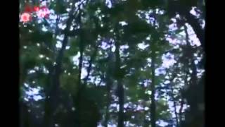 TOP 51 PART 4 SUICIDE FOREST VICIOUS DEMON PARANORMAL ACTIVITY