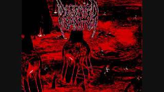 Watch Defeated Sanity Apocalypse Of Filth Collapsing Human Failures video