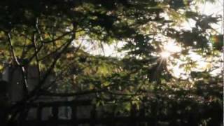 Wilkinson - Every Time