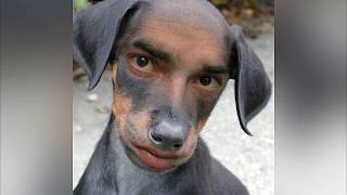 extremely funny pictures VIDEO if you wont find anyfun ask for your data