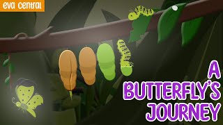 A Erflys Journey From Tiny Egg To Magical Wings Zoom Into Life