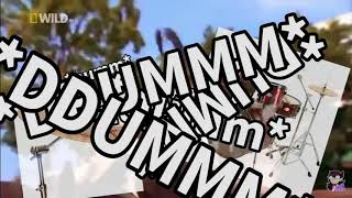 Best Of Jaiden Animations