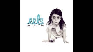 Watch Eels Beautiful Freak video