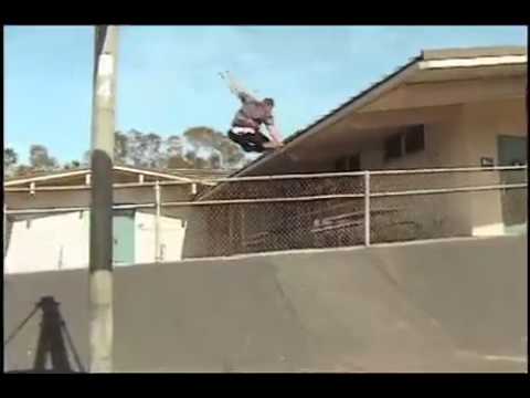 Toy Machine Videodrone Johnny Layton Hodge Podge