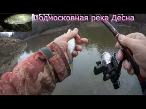 ловля плотвы в апреле на боковой кивок ловля плотвы в апреле на боковой кивок