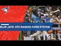 Highlights of the Blue Jays' top prospects