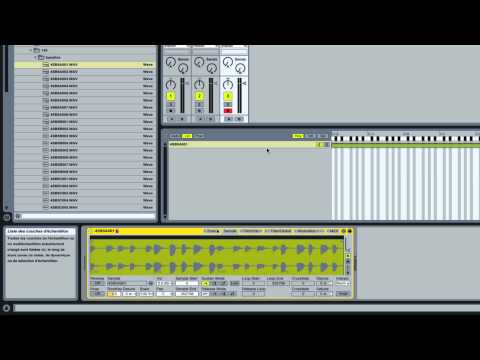 Ableton Live: Un sample une note