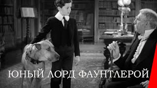 ЮНЫЙ ЛОРД ФАУНТЛЕРОЙ (1936) семейный