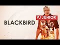 vj Junior New translated movies 2023 full HD 3D | Full trailer