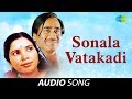 Sonala Vatakadi | સોનલા વાટકડી | Praful Dave, Damayanti Bardai