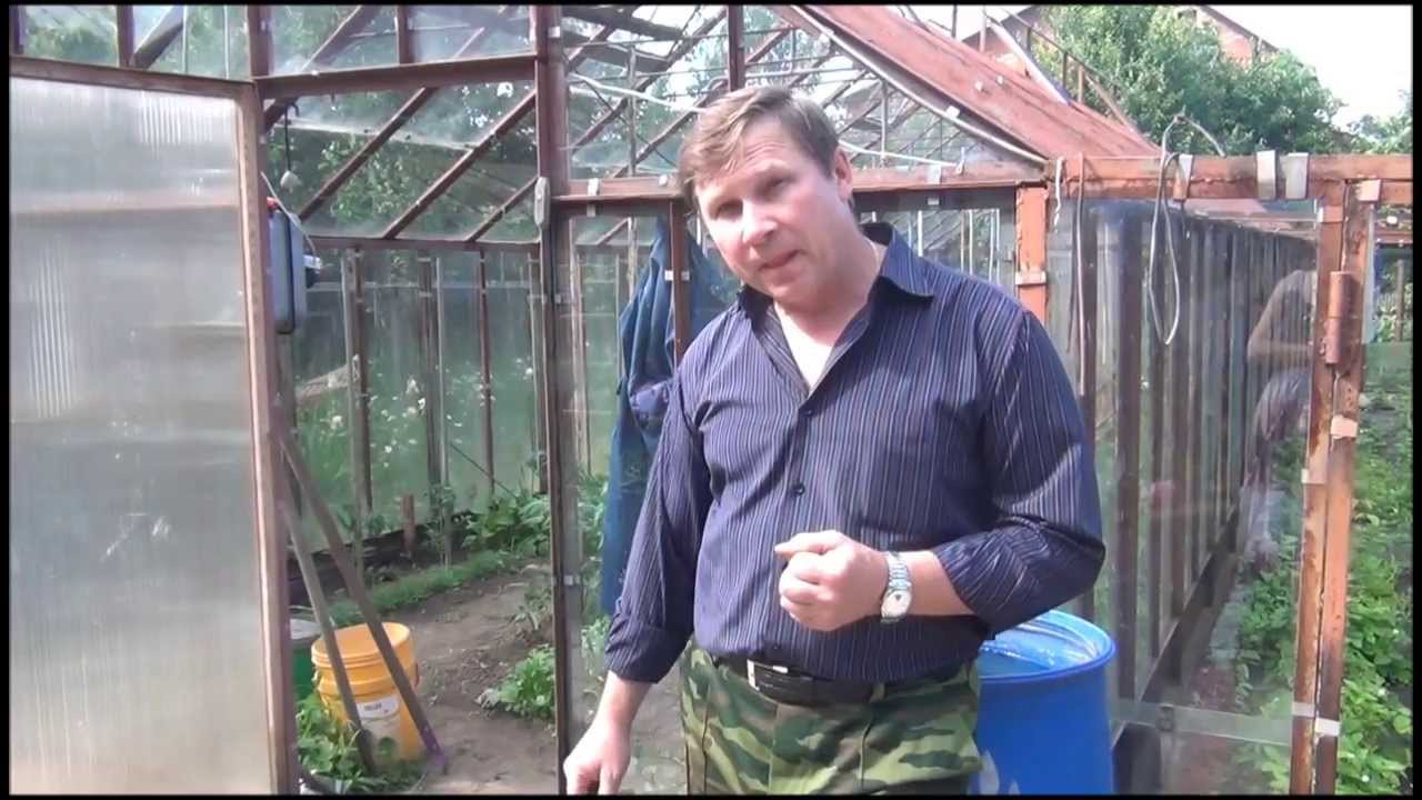 Почему теплица а не открытый грунт Почему теплица а не открытый грунт