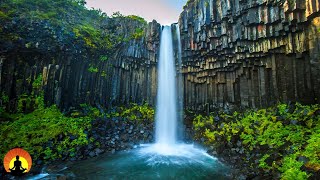 🔴Relaxing Music 24/7, Sleep Music, Calm Music, Delta Waves, Sleeping Music, Study Music, Relaxation