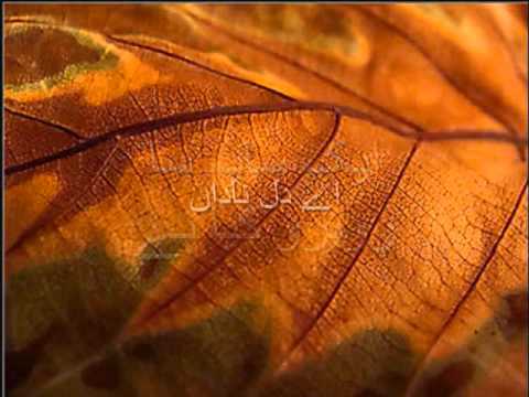 Aye Dil E Nadaan اے دل ناداں