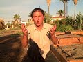 Garden tips