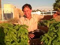 Garden tips