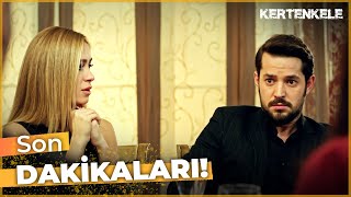 Murata Bir Şey Olacak Mı? Kertenkele