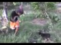 Manusia Vs Anjing Man Vs Dog images Manusia Vs Anjing Man Vs Dog