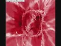 Meat Katie & Elit Force - Lazer