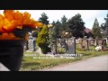 I Had A Dream (HD) by Stephen Meara-Blount