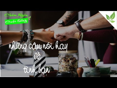 NHỮNG Câu Nói Hay Về Tình Bạn Bất Hữu| châm ngôn cuộc sống