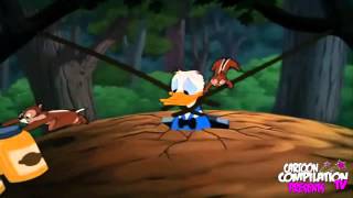 20 All In A Nutshell 1949 Dvdrip Xvid Mrc