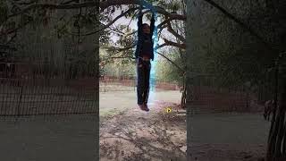 Sanjar