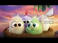 THE ANGRY BIRDS MOVIE - Hatchlings Mother's Day Greeting (HD)