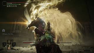 Elden Ring Sote - Promised Consort Radahn, Dual Pickaxe, Raptor Of The Mists Rl150,Sb12