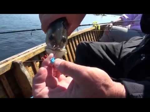2014 Show #2: Jigging for Walleye at Lodge 88