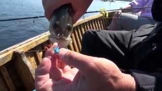 Jigging for Walleye at Lodge 88