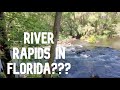 🥾 River Rapids Trail at Hillsborough River State Park