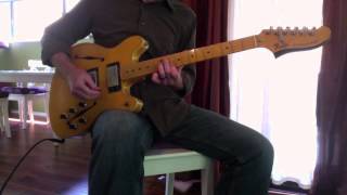 Watch Adrian Belew People video