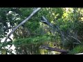 Down the bayou in Amelia