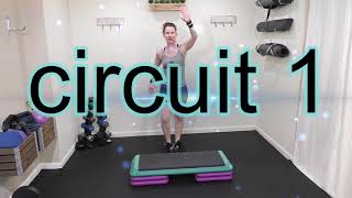 52 MINUTE WORKOUT| CARDIO STEP & FUNCTIONAL MOVEMENT EXERCISES | TOTAL BODY WORKOUT | AFT
