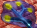 Muscular System, Neuromuscular Junction