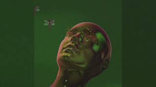 Nemaria- Сознание