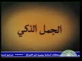 Hourouf