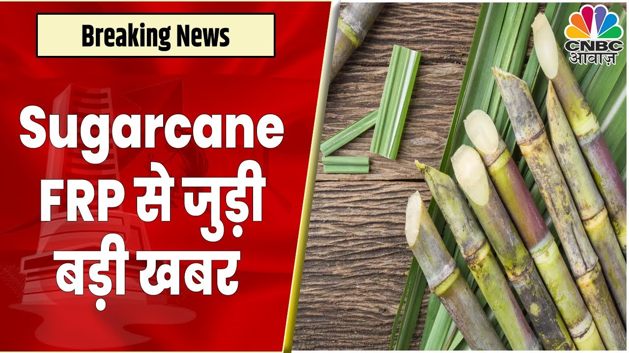 Cabinet Meeting Latest Updates | Linked to Sugarcane FRP Cabinet Meeting Latest Updates | Linked to Sugarcane FRP
