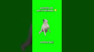 Plantilla De Perro Bailando Pantalla Verde