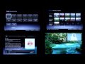 Sony BRAVIA Wireless Connection How-To