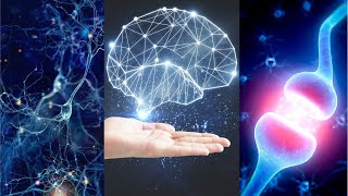 Mindfulness & the Physical Body