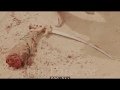 Death Of Al-Abbas | قتال و استشهاد العباس