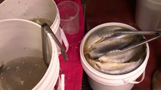 Rotting meat and other violations found at popular Hamtramck market