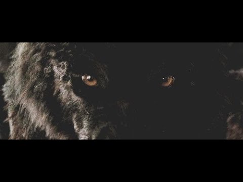 creepypasta el ultimo de los Licantropos Cap01 creepypasta el ultimo de los Licantropos Cap01