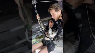 Videos Angie Khoury Dalou3A. اكتشف أشهر فيديوهات انجي خوري