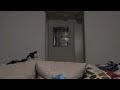 Real Evil Spirits Caught On Camera Real Evil Spirits Caught On Camera