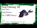 FFXI - Geas Fete Escha Ru'Aun Tier 3 Pakecet Ninja Solo w/ Trust